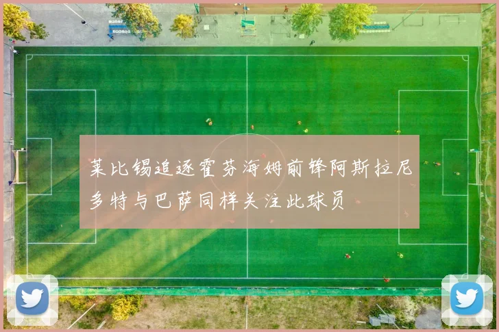 莱比锡追逐霍芬海姆前锋阿斯拉尼多特与巴萨同样关注此球员